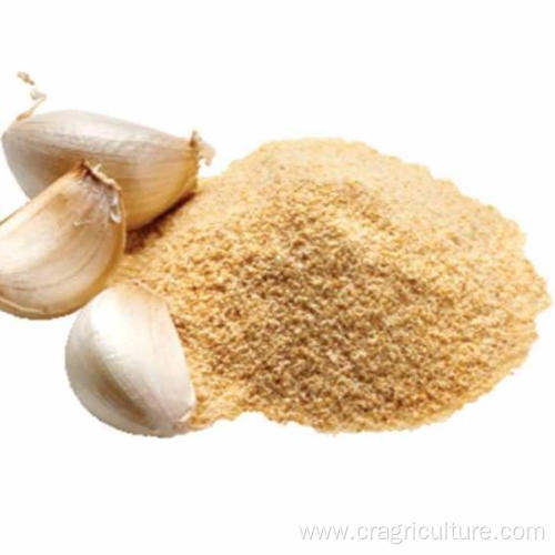 Chinese New Crop Best Garlic Powder